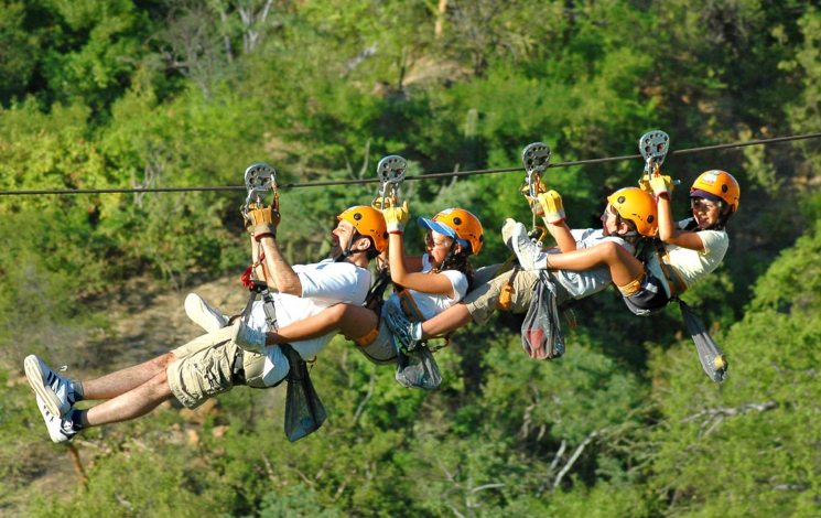 Zip-Line Tours